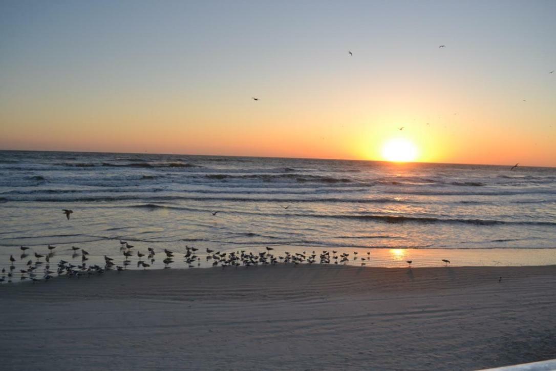 Daytona Beach Studio Condo With Beautiful Ocean View エクステリア 写真